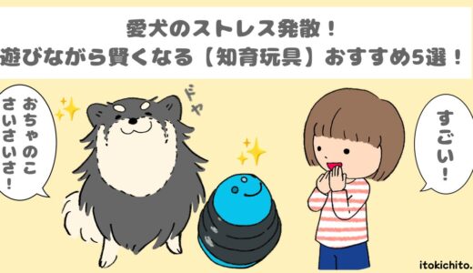 退屈な毎日バイバイ！愛犬も夢中！【知育玩具】でハッピーライフ